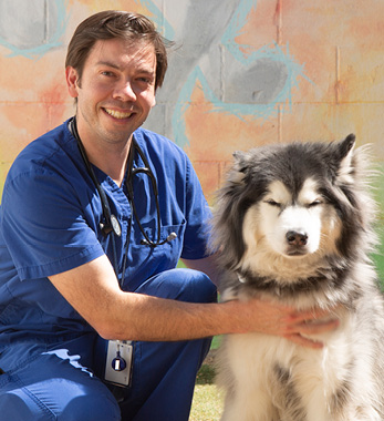 Image of Andrew Tornell, DVM