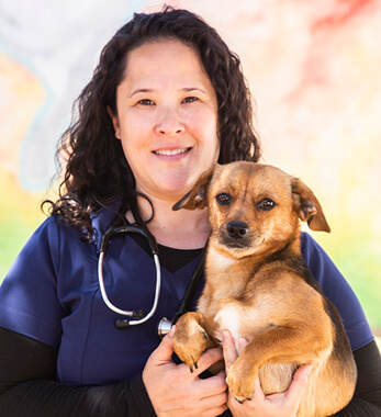 Image of Lai-Ting Torres, DVM