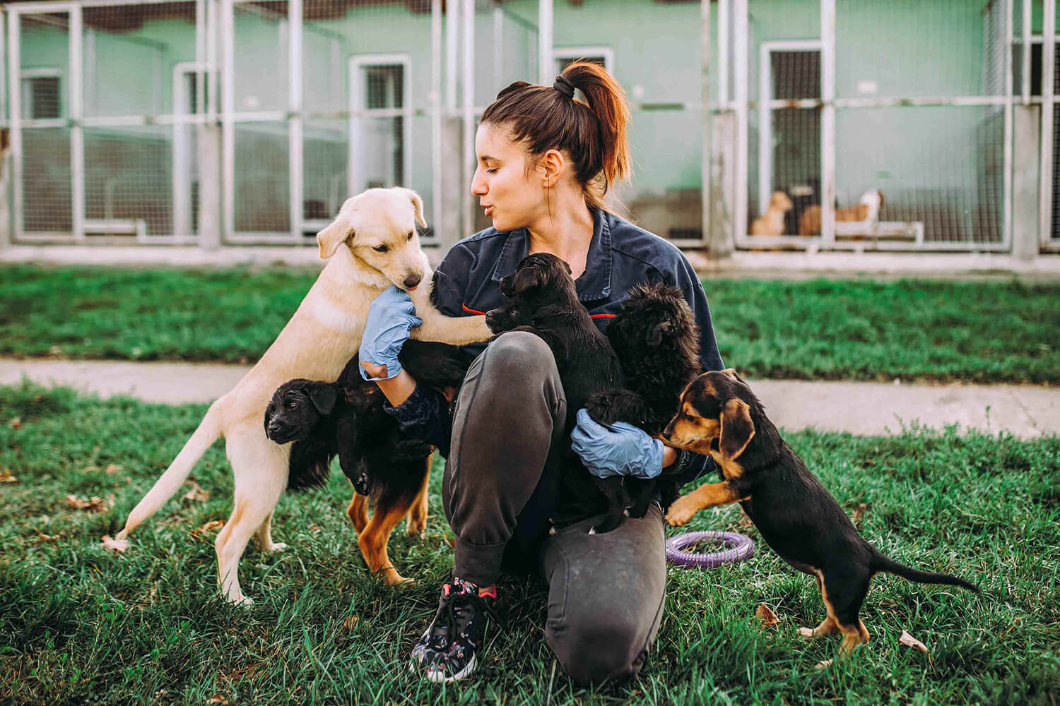 a young woman holding several puppies in the grass