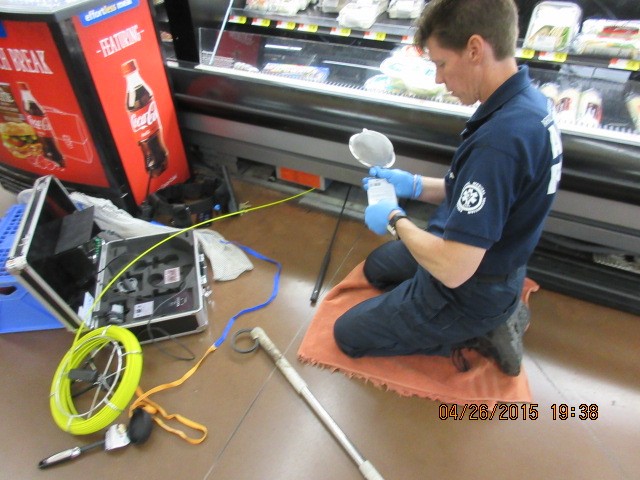walmart kittens rescued