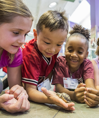 Image of Youth Camps